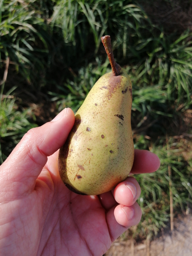 Heilfasten mit christlichen Impulsen